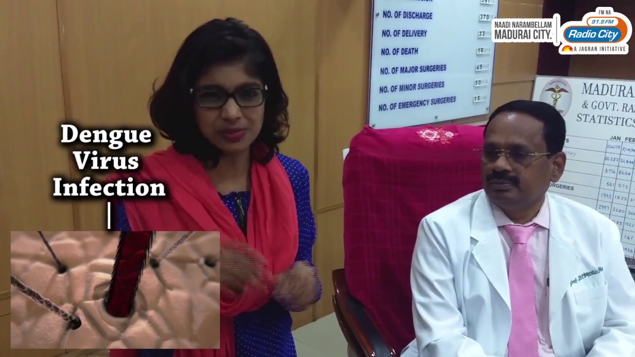 DENGUE ALERT - DENGUE ALERT 