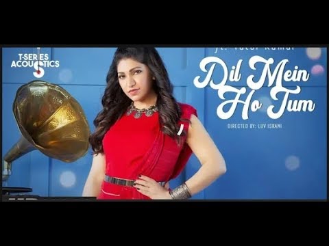 dil_mein_ho_tum_|_hindi-song-acoustics_|_tulsi_kumar__|_why_cheat_india__|_bollywood_songs