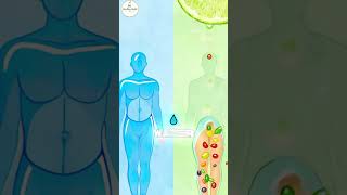 The Little Mermaid Should Have Eaten This for Hydrated Skin #healthyskin  #hydration