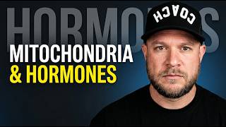 The Hormones-Mitochondria Dance NO ONE TALKS ABOUT (How to Optimize Hormones at a Cellular Level)