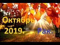 Рак. Октябрь 2019. 12 Домов Гороскопа.