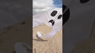If you have ghost kites, you have everything 👻 #shorts