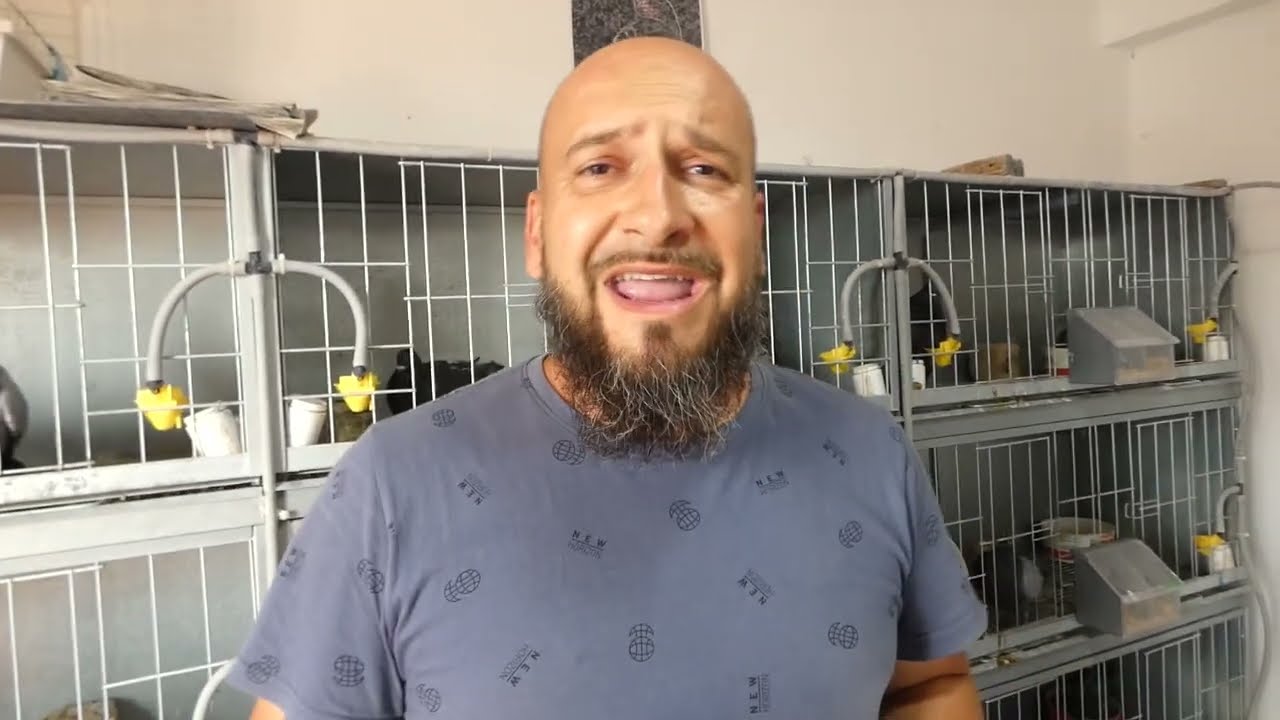 Cría y consejo de pichones / Samuel Fuente