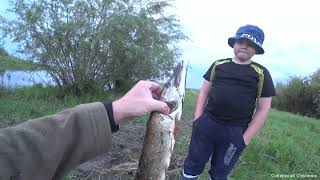 Поехал с с сыном на рыбалку  Ловим щучку травянку .