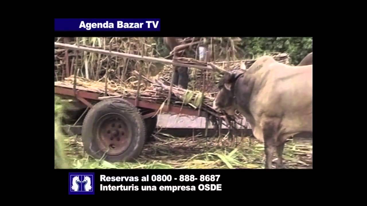 BazarTv recorre la Isla de Guadalupe - Parte I camera iphone 8 plus apk