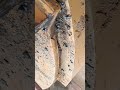 welder 🥽🧰