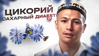 Керемет ханымдар анальный порно онлайн