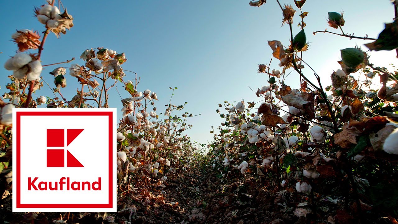 GOTS-Zertifikat - Nachhaltigkeit bei Textilien | Kaufland