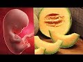 تناول البطيخ الأصفر أثناء الحمل.. هذا ما يحدث للمرأه الحامل والجنين عند تناول البطيخ الأصفر ؟
