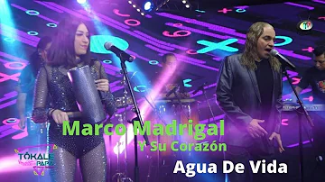 Marco Madrigal Y Su Corazón - Agua De Vida