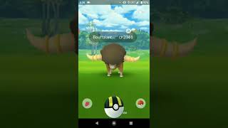 Catching Bouffalant In Nyc Pokémon Go