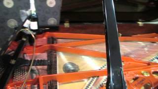 SCHIMMEL C213 GRAND PIANO