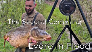 Evaro lake - carp fishing for 70s - Hard work France in Flood 2024.