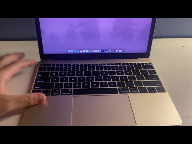 Comprei um MACBOOK 12 2017 em 2025, veja TUDO sobre ele! - YouTube