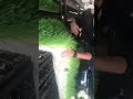 How Farmers Grow Fresh Grass in Winter