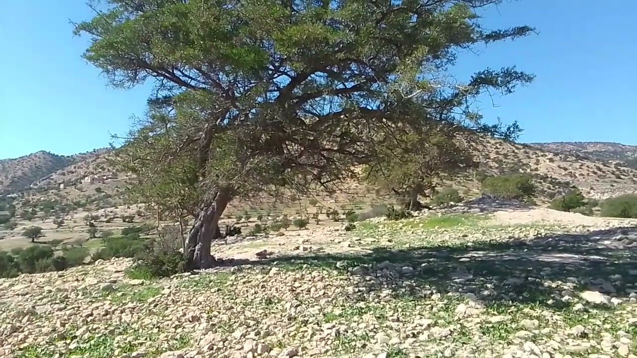 هنا ادوار نادحماد الجو جميل جدا