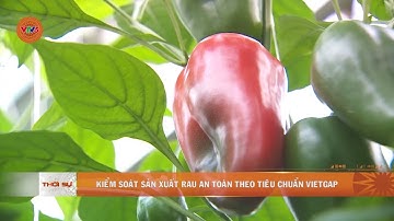 KIỂM SOÁT SẢN XUẤT RAU AN TOÀN THEO TIÊU CHUẨN VIETGAP | VTV5