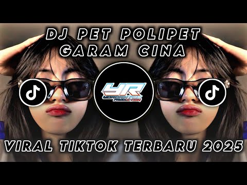 DJ GARAM CINA VIRAL TIKTOK ❗DJ TEBANG FT DJ PANDA