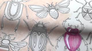 Famous Adult Coloring With ILene Vick: How To Color Bugs To Make Them Look Like Shiny Gems and Jewels Wealth