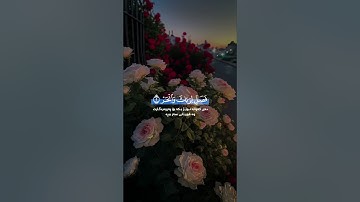 سعد الغامدي سورة الكوثر Saad Alghamidi Surat Al Kawthar