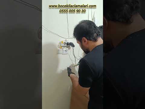 Hamam Böceği İstilası