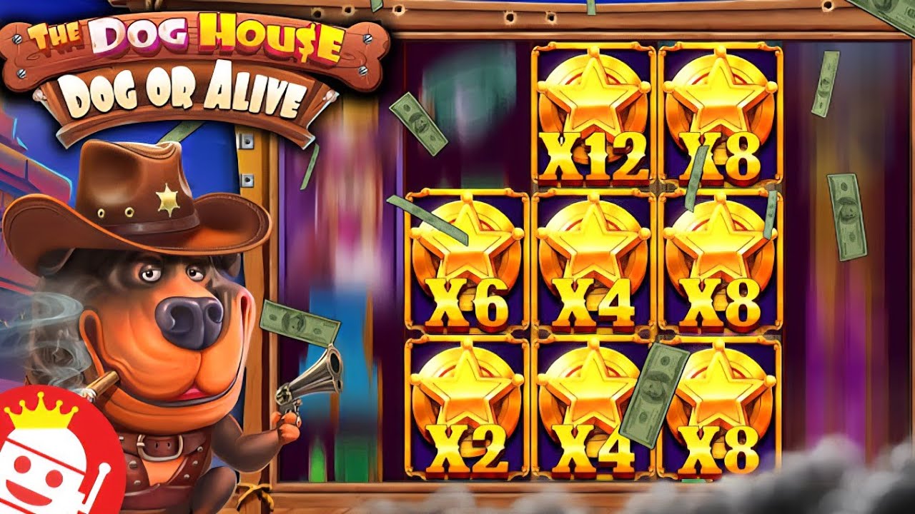 SE PICO TODO EN LA DOG HOUSE DOG OR ALIVE 🤑 CASINO ONLINE ARGENTINA 🎰