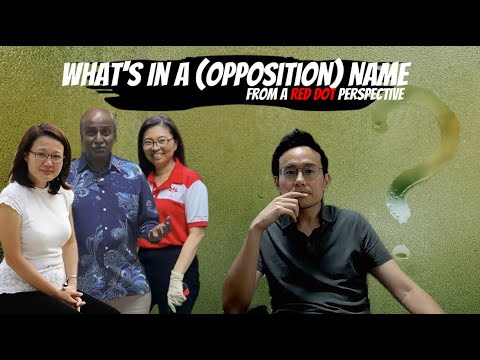 Should We Call Them Opposition Or Alternative Parties?