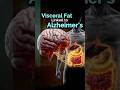 Visceral Fat link to Alzheimer's 🧠 #health #wellness #healthtips #shorts
