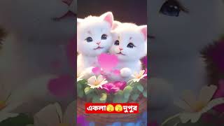 আমর সনর মযন পখ, তর কমন ভল থক