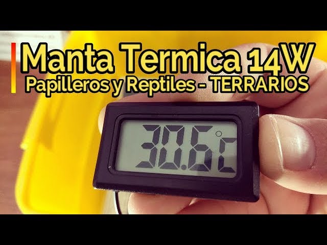 🔥CÓMO REGULAR TEMPERATURA 🔥 en Terrarios con Manta Térmica 28x28cm 14 W 