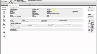 Collections Management Workflow Overview
