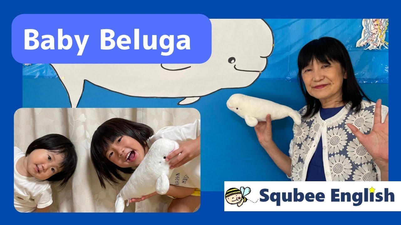 Baby Beluga 歌ってみたよ ベイビーベルーガ シロイルカ YouTube
