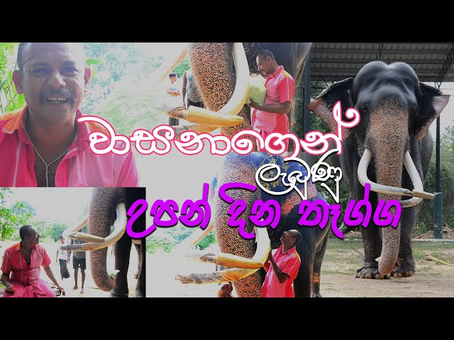 BIrthDay Gift from Wasana | අජිත් මාමට වාසනාගෙන් ලැබුණු උපන් දින තෑග්ග | Kataragama Wasana