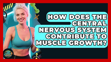 How Does The Central Nervous System Contribute To Muscle Growth? - High Energy Training Hub
