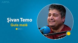 Şivan Temo - Gula Malê | شفان تمو