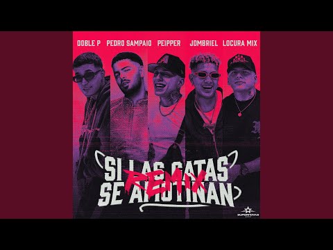 Peipper, PEDRO SAMPAIO, Jombriel & Locura Mix - Si Las Gatas Se Amotinan [Remix] (feat. DobleP)