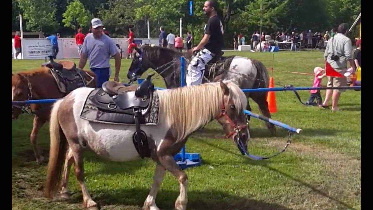 20160604 Westbrook Together Days Pony Ride YouTube