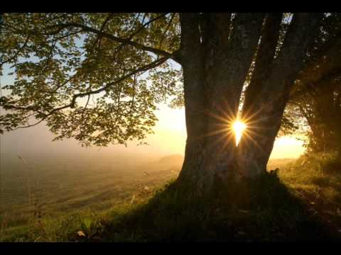 ـــ أغـنيـة حـق الـحـيــاة ــ عـمـــرو ديـــاب