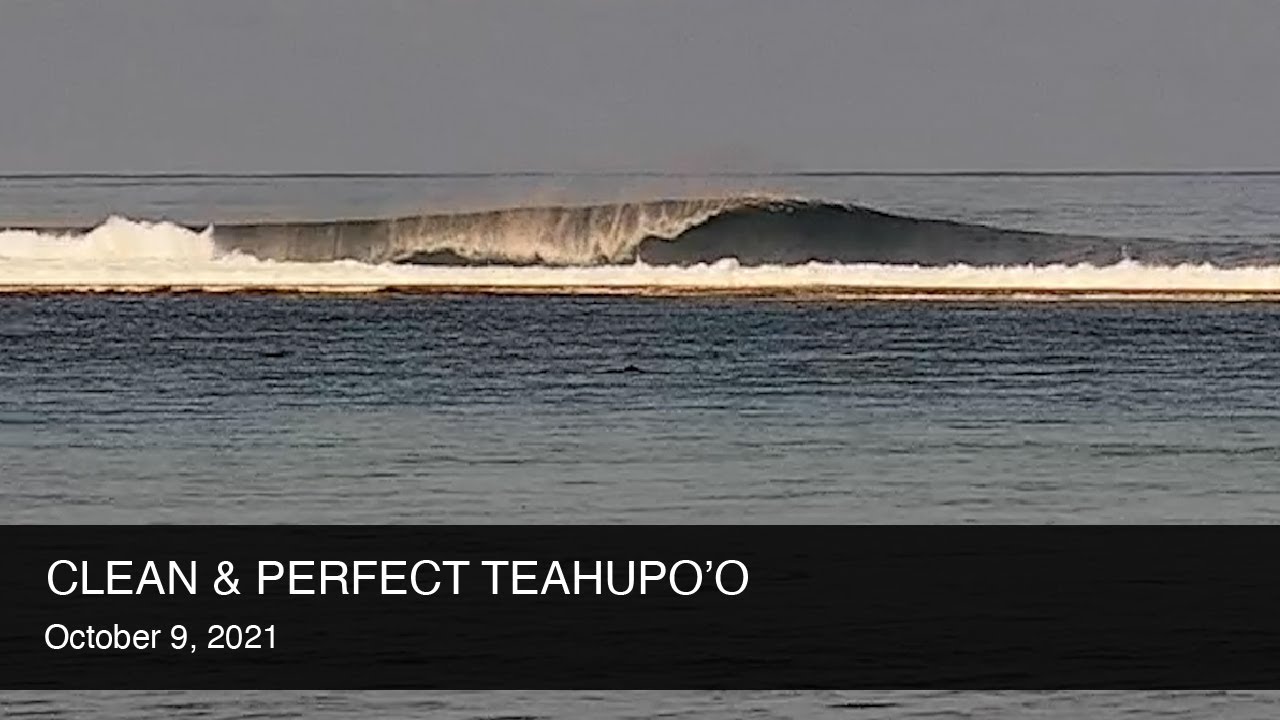 Clips