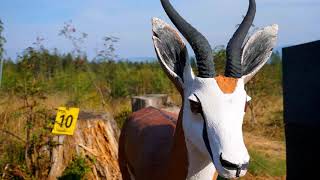 Lust Auf Bogenurlaub?