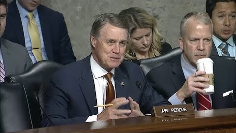 Senator David Perdue In Armed Services Committee Hearing
