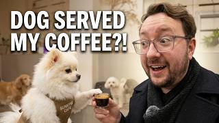 I Went to Korea's CUTEST Dog Cafe (A DOG Served My Coffee?!) kr