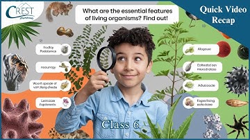 Living Organisms and Their Characteristics | Class 6 Science Olympiad Preparation