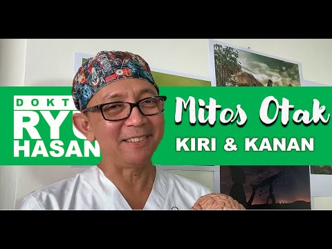 Video: Kebenaran Dan Mitos Mengenai Otak - Pandangan Alternatif