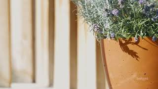 Betoni Planters Decor & Clic