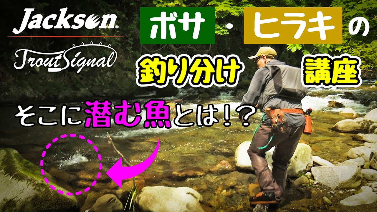 【初心者必見】魚の生息場所によるルアーローテーションを解説