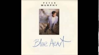 Watch Peter Murphy Blue Heart video