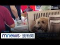 淤泥清理