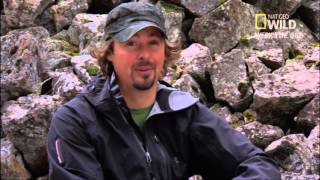 Nat Geo Wild Expedition Grizzly