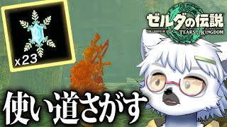 【 ゼルダの伝説 ティアーズ オブ ザ キングダム 】そういえばこれってどうやって使えばいいんですか？＃14【白瀧炬燵/One Lyric】